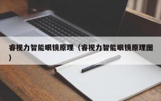 睿视力智能眼镜原理（睿视力智能眼镜原理图）